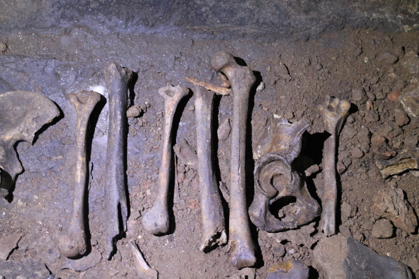 Arheolog Krešo Raguž pretpostavlja da ostaci kostiju iz Bidrilove špilje pripadaju žrtvama provale vojjske Mongola (Tatara) u Hrvatsku 1242. godine (Foto: Noa Majetić)