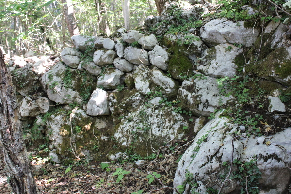 Imanja pustog zaselka Kneževići okružena su suhozidinama od krupnog kamenja, teškog i do nekoliko tona (Foto: Noa Majetić)