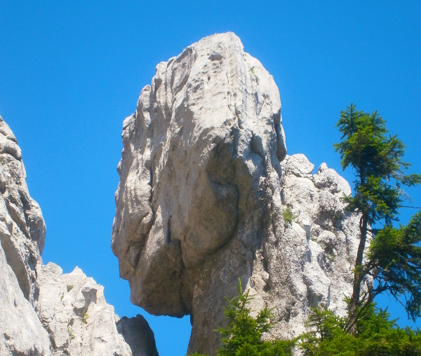 Divovska kamena glava u Bijelim stijenama u Gorskom kotaru (Foto: Martina Majetić)