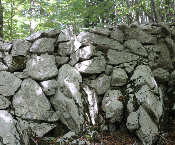 Jedan od zadivljujućih megalitskih suhozida drevnog naselja na Stražbenici, sačuvan do visine od čak 240 centimetara (Foto: Goran Majetić)