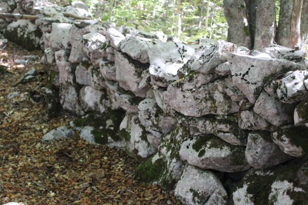 Veličanstveni megalitski suhozidi pružaju se stotinama metara uzuž i poprijeko nekadašnjeg naselja smještenog na padinama podno Rožanskog vrha (Foto: Goran Majetić)