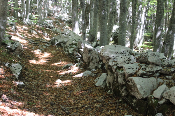 Sjeveroistočno od Stražbenice, u šumskom prostranstvu Cipala, i nakon više stotina metara pružanje široke planinske staze naglašeno je krupnim megalitima (Foto: Goran Majetić)