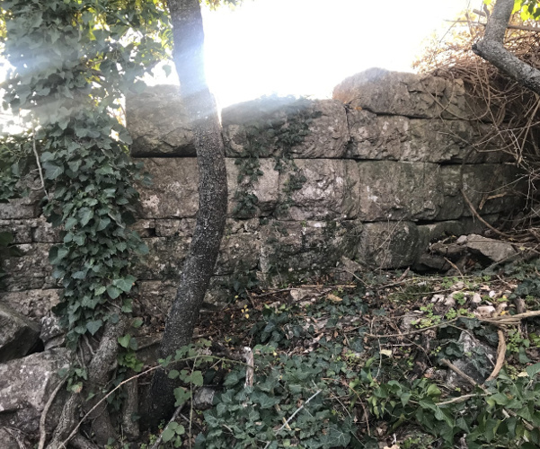 Unutarnje hramske zidine drevne gradine Nadin koje prekrivaju korov i stabla
