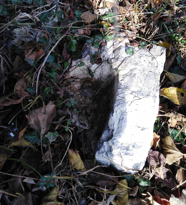 Ulomak kamene urne koji je u gomili urušenog kamenja uz temelje trošne kuće u Maloj Crkvini pronašla Povijesno-putopisna družina Karlovačke županije za istraživačke ophodnje 7. studenog 2021. godine (Foto: Zdravko Novosel)