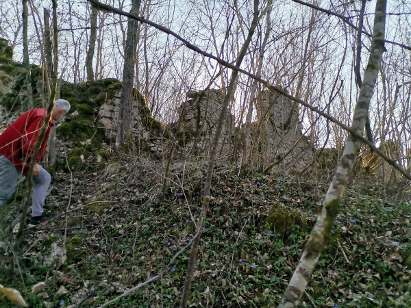 Ruševne zidove istočnog dijela ostataka utvrde Blagaj u doba jačeg zelenila teško je uočiti s prilaznog puta (Foto: Tomislav Beronić)