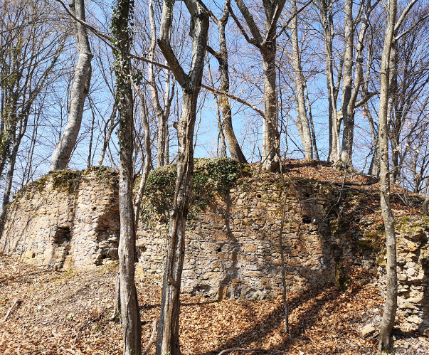 Ruševni ostaci srednjovjekovnog utvrđenog grada plemićke obitelji Zimić (Foto: Tomislav Beronić)