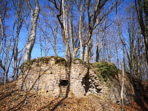 Južni srednji zid na kojemu se nalazi otvor (puškarnica) i izbočena četvrtasta kula te opkop do vjerojatnog vanjskog plašta utvrde (Foto: Tomislav Beronić)