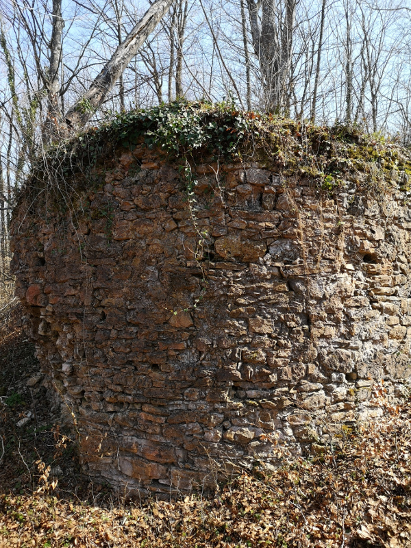 Polukružna kula sa sjeverne strane Zimića visine oko 4 metra; nanos zemlje sakrio je barem još dva metra njezinog zida (Foto: Tomislav Beronić)