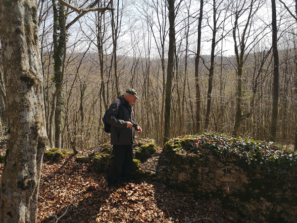 Tomislav Beronić proučava ostatke južnog zida Zimića (Foto: Biserka Beronić)