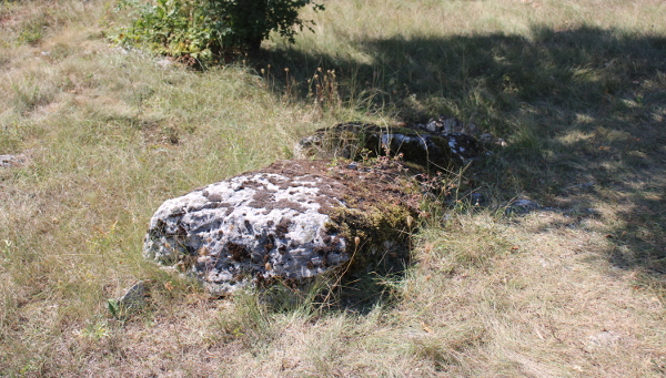 Stećak unutar groblja koje se nalazi podno Popovića gradine, blizu lijeve obale potoka Kovačica (Foto: Goran Majetić)