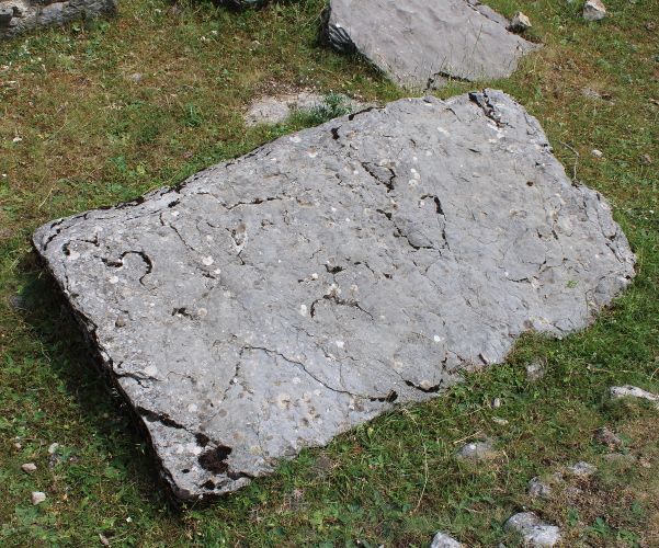 Najveći sačuvani stećak - ploča na crkvini u Podudbini dugačak je umalo dva metra, širok više od metra i debeo i do 30 centimetara (Foto: Goran Majetić)