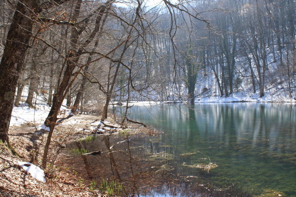 Iznad Gornjeg jankovačkog jezera, u stoljetnoj bukovoj šumi, pribježište je nalazio jedan od najpoznatijih slavonskih hajduka Maksim Bojanić (Foto: Goran Majetić)