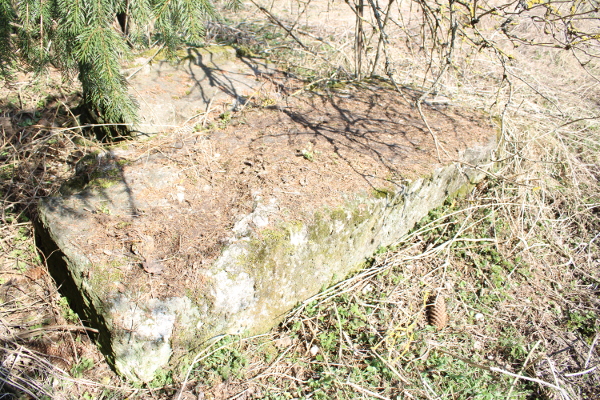 Stećak je prigodom proširenja i asfaltiranja ceste Korenica - Udbina premješten 20-ak metara istočnije te leži sakriven u grmlju nedaleko kolnika (Foto: Goran Majetić)