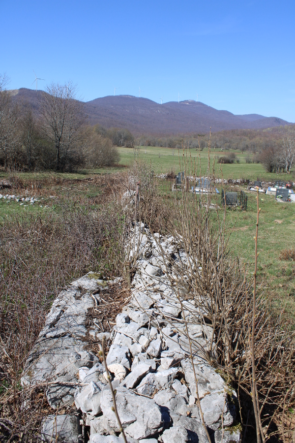 Nadgrobnica u Tuževiću dugačka je gotovo 2,5 metara te je to najduži poznati lički stećak; polegnut je uz vanjski rub jugozapadne suhozidne međe suvremenog seoskog groblja (Foto: Goran Majetić)
