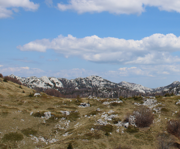 Pogled na dio Rožanskih kukovima, s prepoznatljivom bijelom stijenom Crikvene, kada im prilazimo s juga s Premužićeve staze (Foto: Goran Majetić)