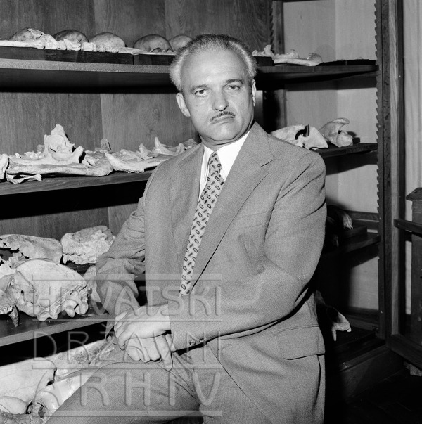 Paleontolog Mirko Malez u prostoru Zavoda za paleontologiju i geologiju kvartara JAZU 1979. godine (Izvor: Hrvatski državni arhiv (arhinet.arhiv.hr))