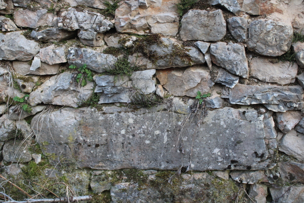 Je li velika kamena ploča ugrađena u zid gospodarske zgrade obitelji Lulić u Velikom Čanku ostatak nadgrobne ploče s obližnjeg srednjovjekovnog groblja? (Foto: Goran Majetić)