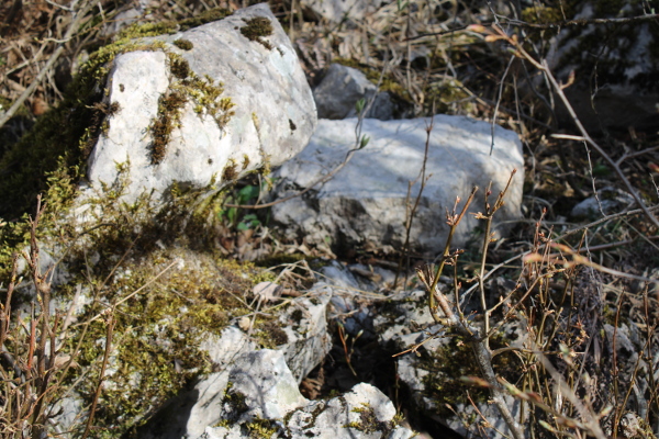 Pravilni kameni klesanci preostali na crkvini u Malom  Čanku (Foto: Goran Majetić)