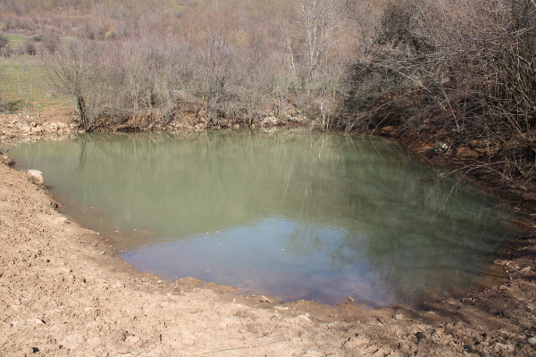 Velika lokva u Malom Čanku koja je potopila nekoliko kamenjem obzidanih bunara (Foto: Goran Majetić)