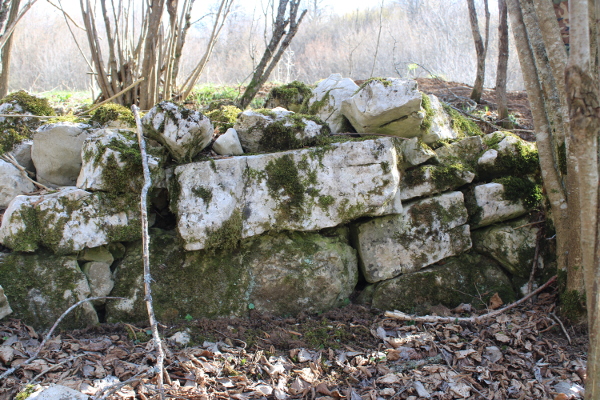 Jedan od drevnih suhozida u Malom Čanku koji je sastavljen od vrlo velikih kamenih kvadara (Foto: Goran Majetić)