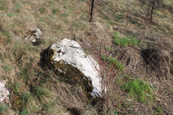 Poveća kamena ploča na padini brijega tik do kuće obitelji Lulić; radi li se o s crkvine izmještenoj nadgrobnici ili možda ipak samo neobičnom kamenu živcu? (Foto: Goran Majetić)
