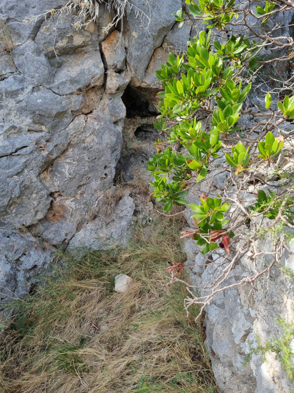Slika 17. - Udubina u stijeni na lokaciji 1 iz daljeg (Foto: Tomislav Beronić)