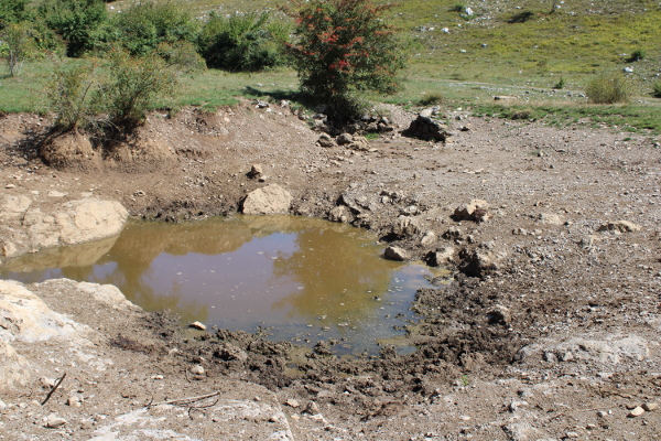U Smiljanić - lokvi jedva je bilo još malo vode , kojom se napaja žedna stoka na ispaši; u pozadini iz suhe zemlje izviruju ostaci bunarskog grla (Foto: Goran Majetić)