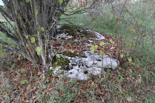 Još jedna poveća vapnenačka ploča koju se lagano nakosila uslijed rasta i širenja korijenja bliskog grmlja (Foto: Goran Majetić)