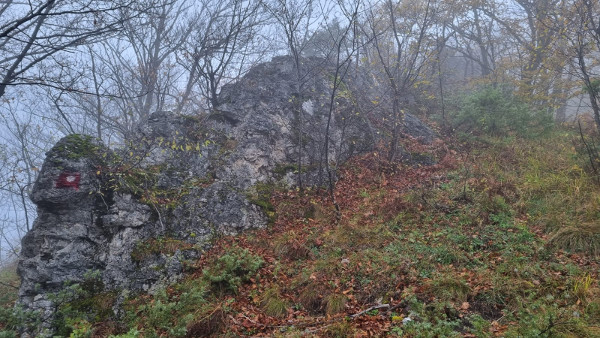 Južni zid vanjskog plašta podgrađa nastavljen je na ovaj kameni greben (Foto: Tomislav Beronić)