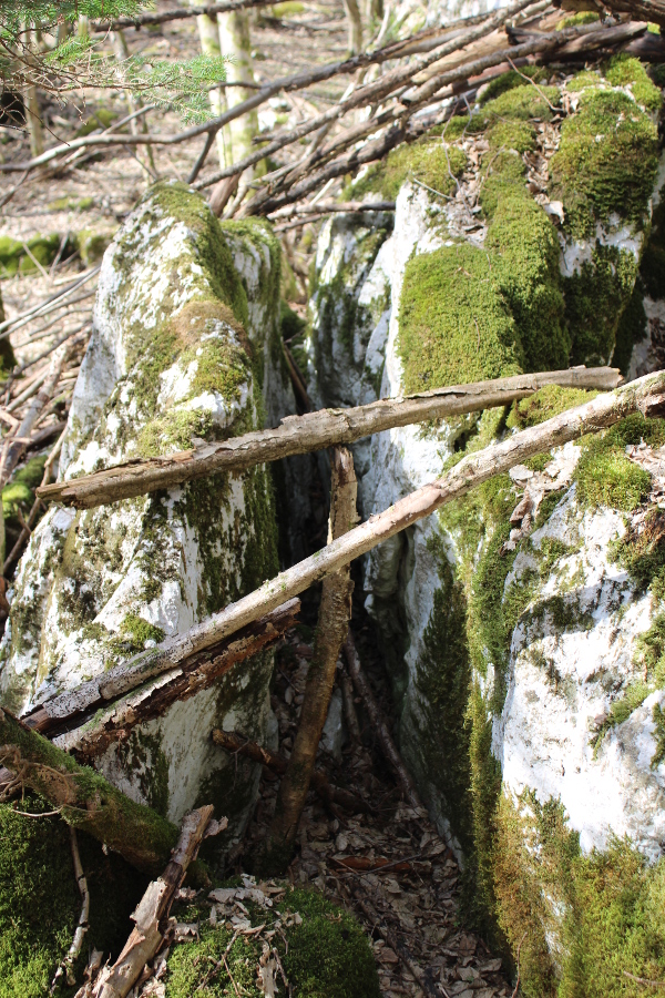 Niska uspravnih ploča odmaknutih od vapnenačke stijene raspuklinom koja tvori ujednačeno širok klanac (Foto: Goran Majetić)