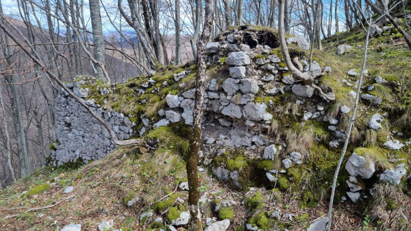 Ostaci vanjskog zida podgrađa (zapadna strana) (Foto: Tomislav Beronić)