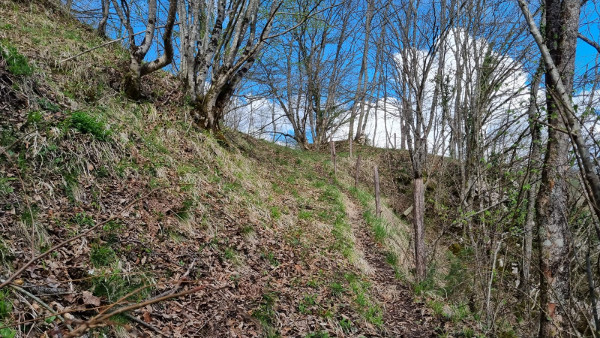 Završni metri staze kojom se pristupa položaju srednjovjekovnog utvrđenog grada Ključa. (Foto: Tomislav Beronić)