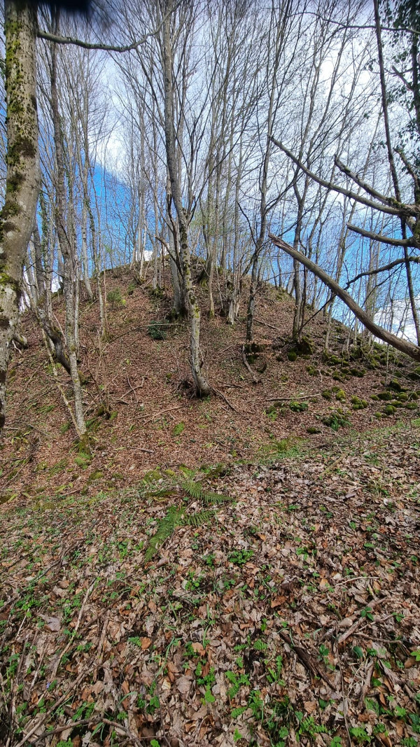 Pogledajte malo bolje vrh glavice i kroz granje ćete uočiti ostatke zidova utvrde Ključ. (Foto: Tomislav Beronić)