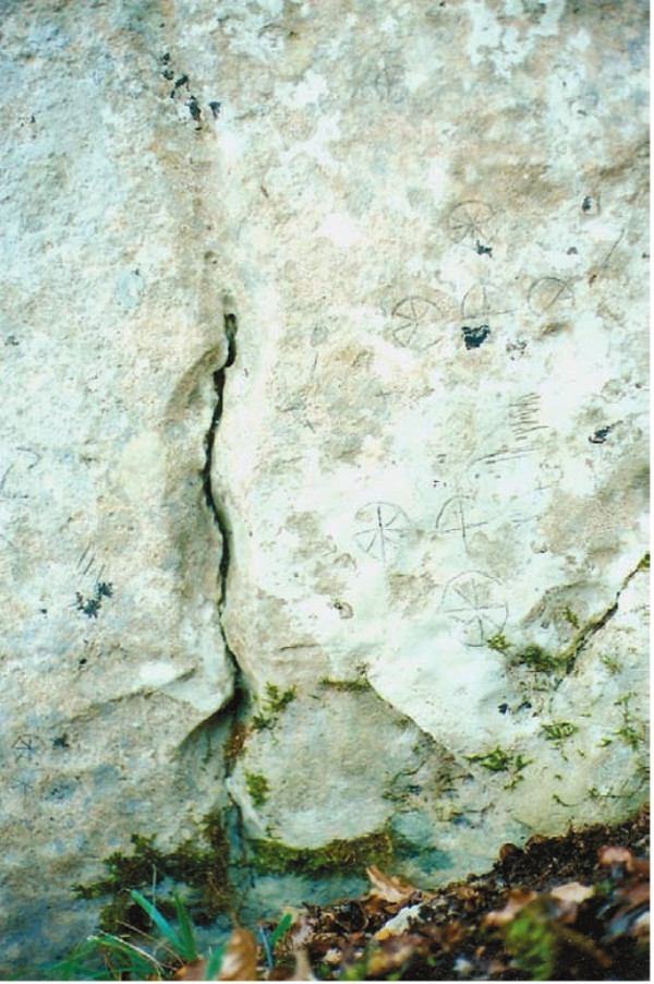 Petroglifi u obliku kotača s različitim brojem krakova. (Izvor: ”Godišnjak zaštite spomenika kulture Hrvatske” (Hrvoje Malinar ”Nađeni petroglifi u kanjonu rijeke Like”), 2007-2008.)