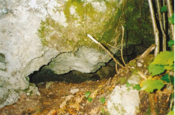 Zatrpan ulaz u špilju u sutjesci Sklope. (Izvor: ”Godišnjak zaštite spomenika kulture Hrvatske” (Hrvoje Malinar ”Nađeni petroglifi u kanjonu rijeke Like”), 2007-2008.)