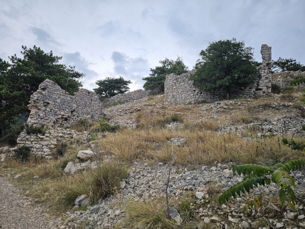 (Foto: Tomislav Beronić)