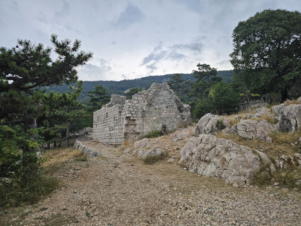 (Foto: Tomislav Beronić)