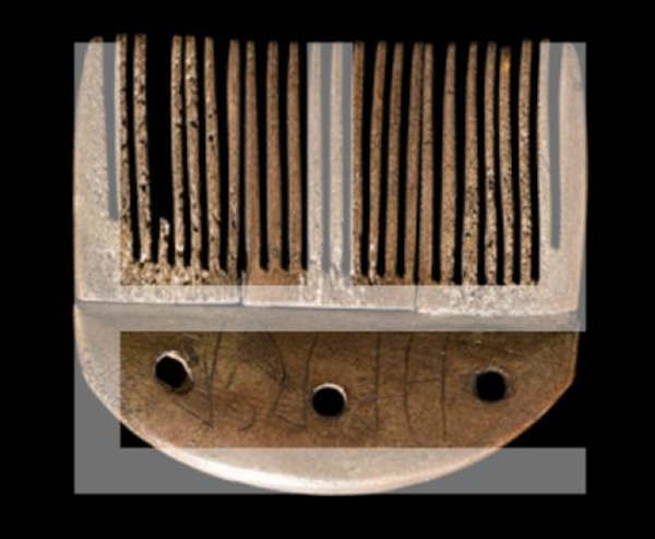 (Pripremio: Tomislav Beronić)