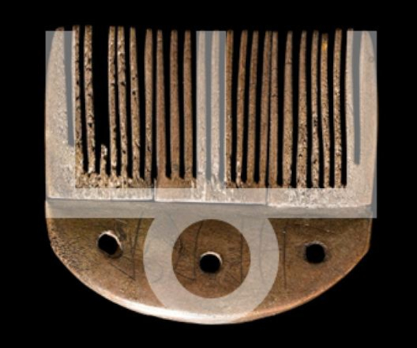 (Pripremio: Tomislav Beronić)