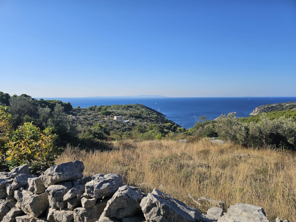 (Foto: Tomislav Beronić)