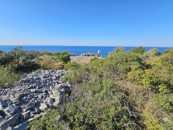 (Foto: Tomislav Beronić)