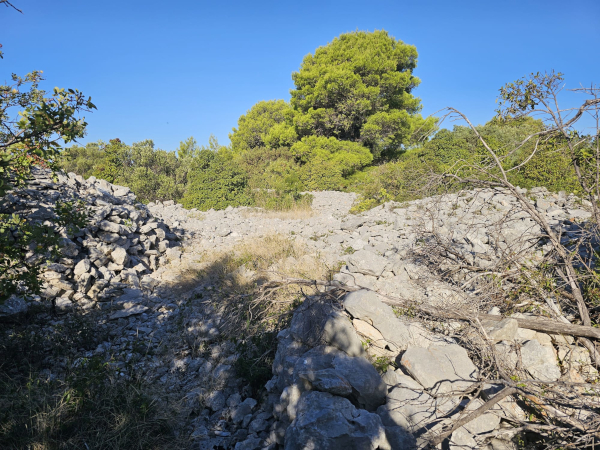 (Foto: Tomislav Beronić)