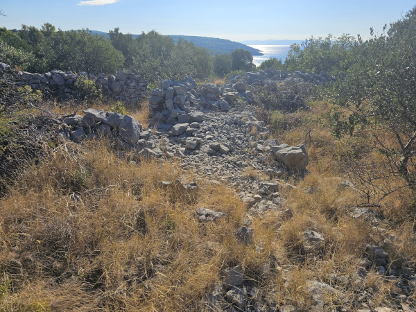 (Foto: Tomislav Beronić)