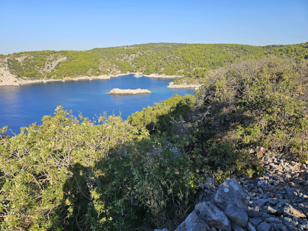 (Foto: Tomislav Beronić)