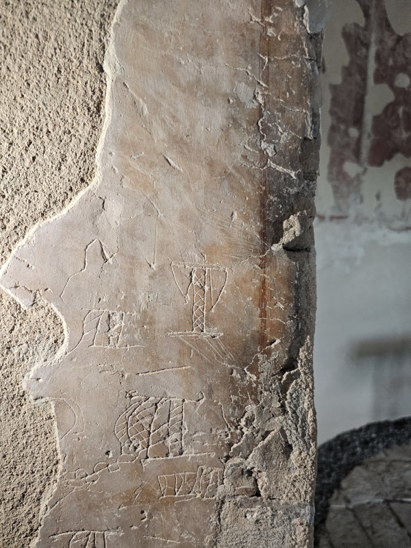 (Foto: Tomislav Beronić)