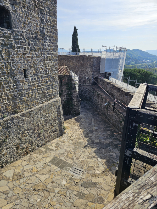 (Foto: Tomislav Beronić)