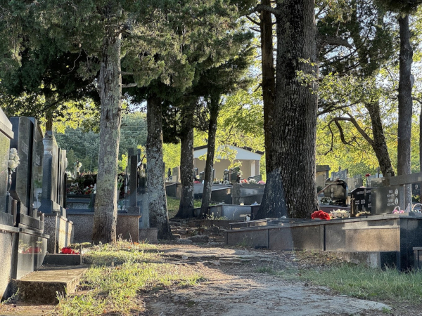 Današnji izgled dijela groblja Kraljevina u Ljutom Docu gdje su pronađeni koštani ostaci ”tako veliki da se treba čuditi” (Izvor: Goranci online (goranci.blogspot.com))