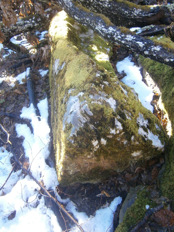 Oštećen poklopac (pokrov) sanduka kamene škrinje (Foto: Goran Majetić)