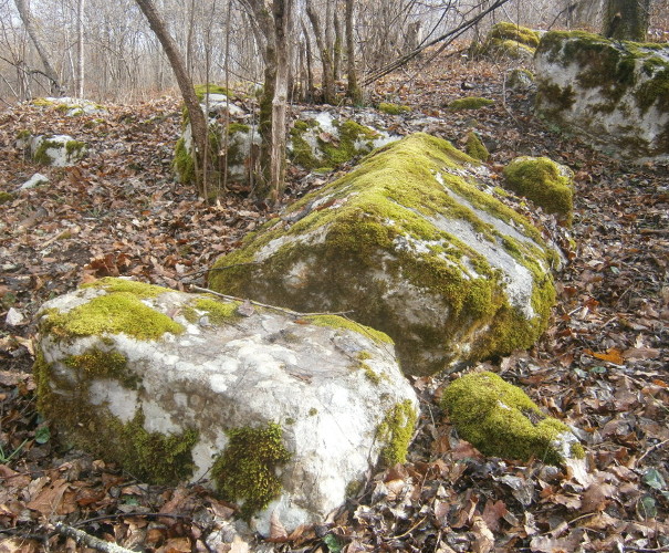 Novo nalazište kamenih sarkofaga u okolici Karlovca otkrio je 2020. godine urednik portala Budni div (Foto: Goran Majetic)
