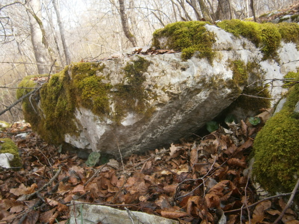 U kamenolomu nedaleko sela Straža nalazi se desetak drevnih poklopaca i sanduka kamenih škrinja (Foto: Goran Majetic)